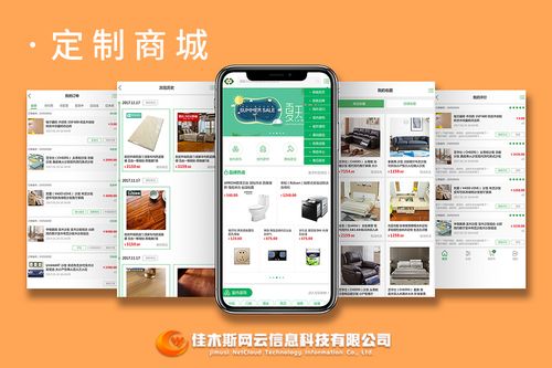 佳木斯网云邀您一起走进网络时代，共建网站商城
