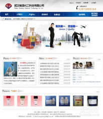 武汉网站制作与网站建设 打造企业数字门户的全面指南