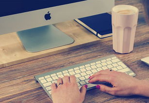 高颜值营销型网站 打造产品畅销的数字化利器